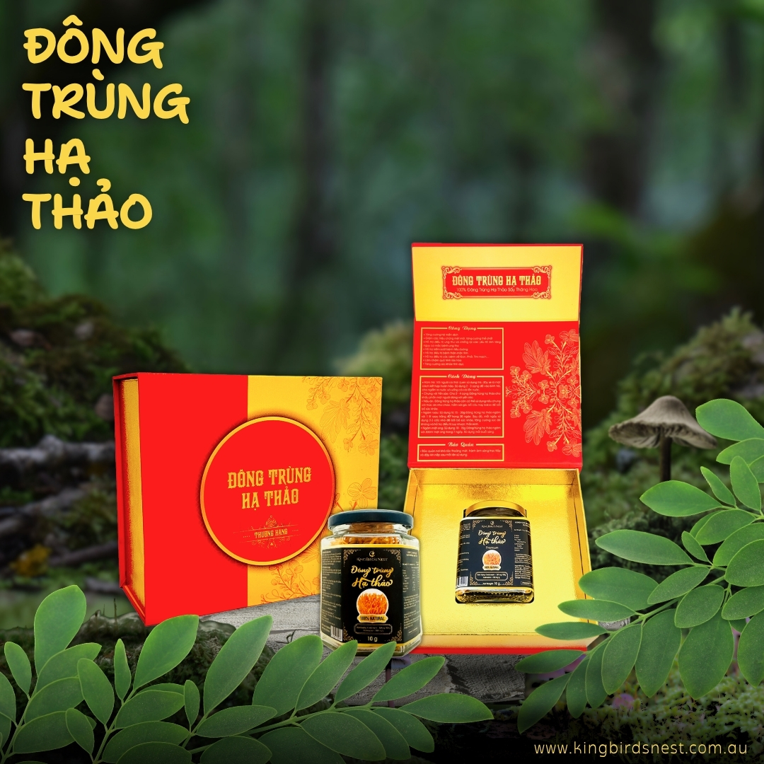 nam dong trung ha thao KBNCM