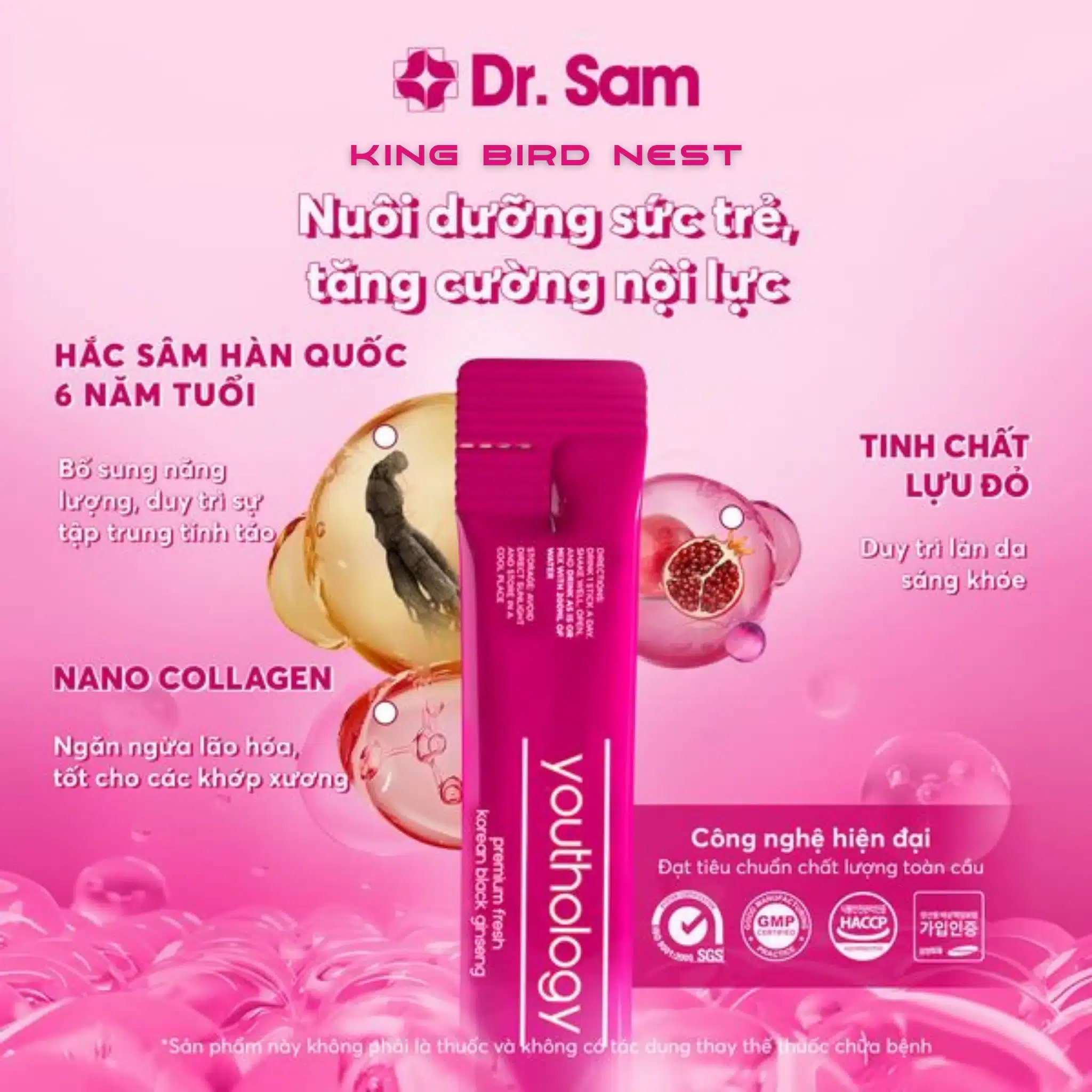 dr sam hắc sâm youthology king bird nest